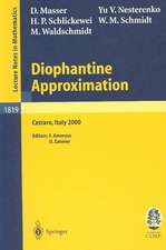 Diophantine Approximation: Lectures given at the C.I.M.E. Summer School held in Cetraro, Italy, June 28 – July 6, 2000