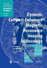 Dynamic Contrast-Enhanced Magnetic Resonance Imaging in Oncology