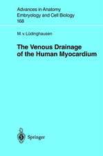 The Venous Drainage of the Human Myocardium