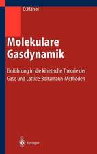 Molekulare Gasdynamik: Einführung in die kinetische Theorie der Gase und Lattice-Boltzmann-Methoden