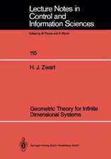 Geometric Theory for Infinite Dimensional Systems