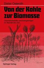 Von der Kohle zur Biomasse: Chemierohstoffe und Energieträger im Wandel der Zeit