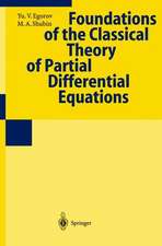 Foundations of the Classical Theory of Partial Differential Equations