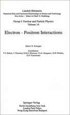 Electron - Positron Interactions