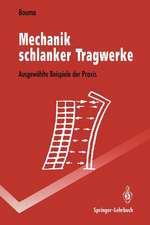 Mechanik schlanker Tragwerke: Ausgewählte Beispiele der Praxis