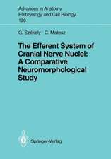 The Efferent System of Cranial Nerve Nuclei: A Comparative Neuromorphological Study