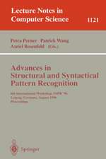 Advances in Structural and Syntactical Pattern Recognition: 6th International Workshop, SSPR' 96, Leipzig, Germany, August, 20 - 23, 1996, Proceedings