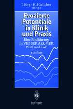 Evozierte Potentiale in Klinik und Praxis: Eine Einführung in VEP, SEP, AEP, MEP, P 300 und PAP