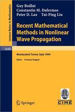 Recent Mathematical Methods in Nonlinear Wave Propagation: Lectures given at the 1st Session of the Centro Internazionale Matematico Estivo (C.I.M.E.), held in Montecatini Terme, Italy, May 23-31, 1994