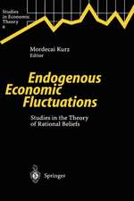 Endogenous Economic Fluctuations