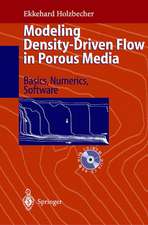 Modeling Density-Driven Flow in Porous Media: Principles, Numerics, Software