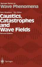 Caustics, Catastrophes and Wave Fields