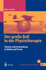 Der große Ball in der Physiotherapie: Theorie und Anwendung in Klinik und Praxis