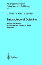 Embryology of Dolphins: Staging and Ageing of Embryos and Fetuses of Some Cetaceans