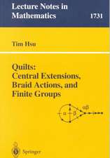 Quilts: Central Extensions, Braid Actions, and Finite Groups