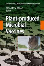 Plant-produced Microbial Vaccines