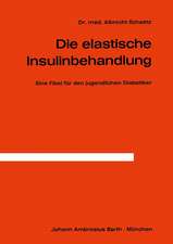 Die Elastische Insulinbehandlung: Eine Fibel für den jugendlichen Diabetiker