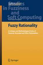 Fuzzy Rationality: A Critique and Methodological Unity of Classical, Bounded and Other Rationalities