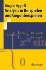 Analysis in Beispielen und Gegenbeispielen: Eine Einführung in die Theorie reeller Funktionen