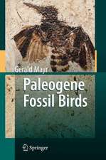 Paleogene Fossil Birds