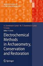 Electrochemical Methods in Archaeometry, Conservation and Restoration