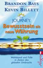 Bays, B: Journey - Bewusstsein als neue Währung