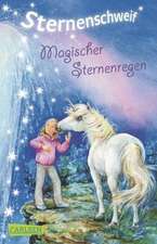 Sternenschweif 13. Magischer Sternenregen