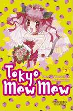 Tokyo Mew Mew 07