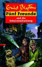 Fünf Freunde 48. Fünf Freunde und ein schlimmer Verdacht