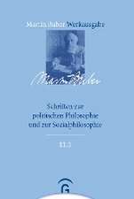 Schriften zur politischen Philosophie und zur Sozialphilosophie