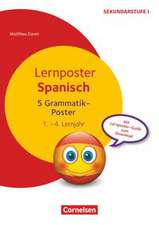 Lernposter Spanisch. Grammatik 1.-4. Lernjahr. 5 Poster