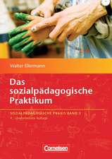 Sozialpädagogische Praxis 03. Das sozialpädagogische Praktikum