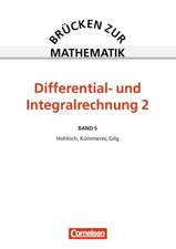 Brücken zur Mathematik V