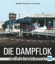 Die Dampflok im Bahnbetriebswerk