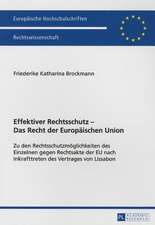 Effektiver Rechtsschutz - Das Recht Der Europaeischen Union: Zu Den Rechtsschutzmoeglichkeiten Des Einzelnen Gegen Rechtsakte Der Eu Nach Inkrafttrete