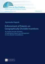 Enforcement of Patents on Geographically Divisible Inventions