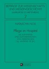 Pflege Im Hospital: Die Aufwaerter Und Aufwaerterinnen Von Merxhausen (16. - Anfang 19. Jh.)