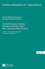 Current Issues in Italian, Romance and Germanic Non-canonical Word Orders