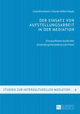 Der Einsatz Von Aufstellungsarbeit in Der Mediation