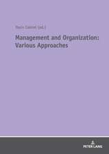 Management and Organization: Various Approaches