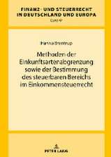 Methoden der Einkunftsartenabgrenzung sowie der Bestimmung des steuerbaren Bereichs im Einkommensteuerrecht