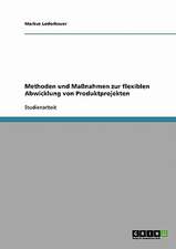 Methoden und Maßnahmen zur flexiblen Abwicklung von Produktprojekten