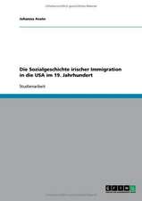 Die Sozialgeschichte irischer Immigration in die USA im 19. Jahrhundert