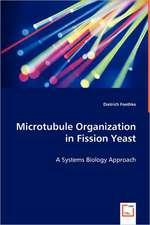 Microtubule Organization in Fission Yeast