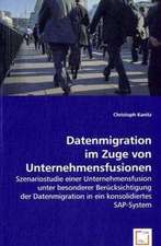 Datenmigration im Zuge von Unternehmensfusionen