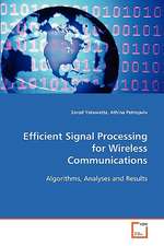 Efficient Signal Processing for Wireless Communications