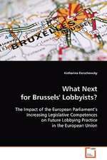 What Next for Brussels' Lobbyists?