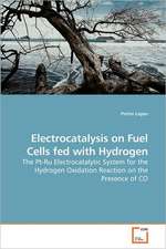 Electrocatalysis on Fuel Cells fed with Hydrogen