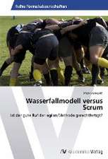 Wasserfallmodell versus Scrum