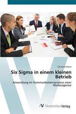 Six Sigma in einem kleinen Betrieb